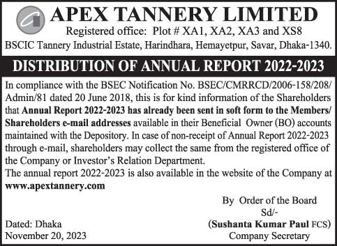 Apex-Annual-Report-DIS-3